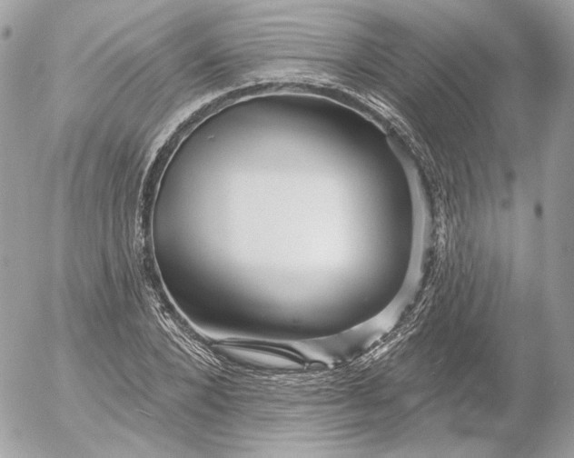 X0000052930880200507221119