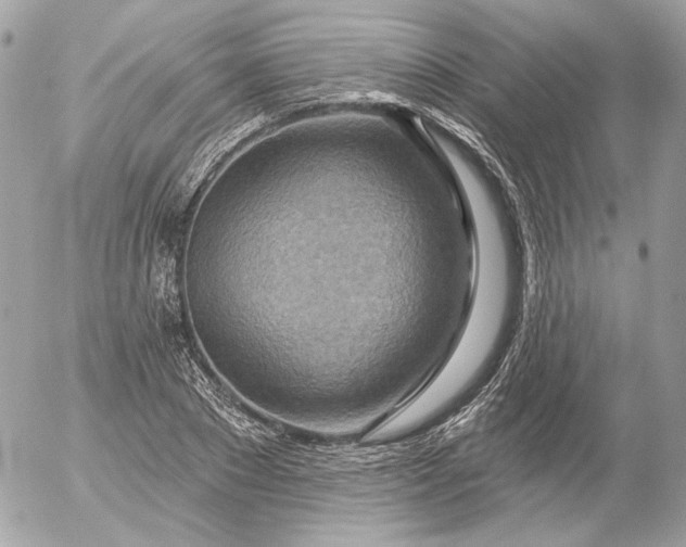 X0000052930881200507221119