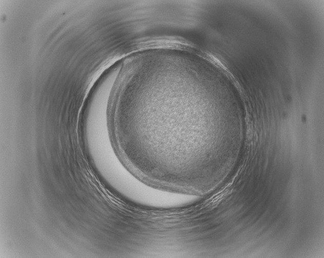 X0000052930883200507221119