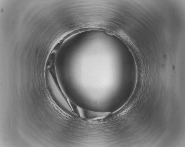 X0000052930884200507221119