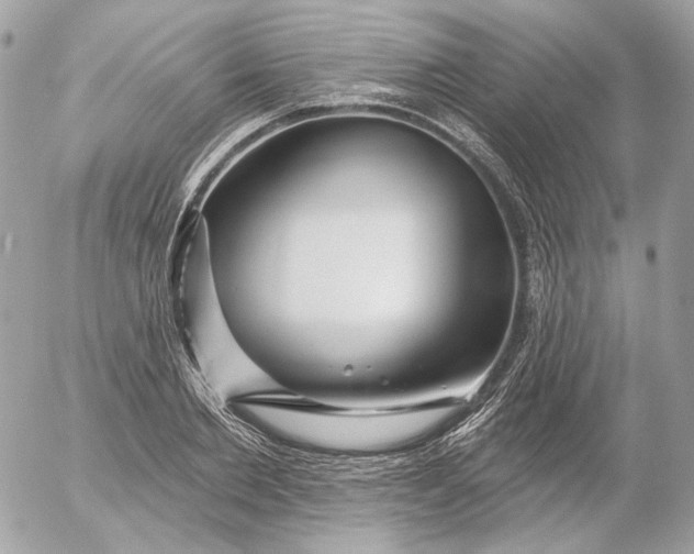 X0000052930885200507221119