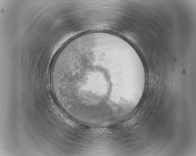 X0000052930886200507221119