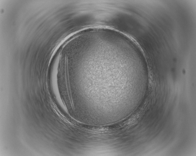 X0000052930887200507221119