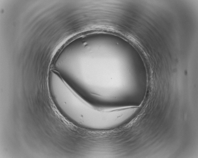 X0000052930888200507221119