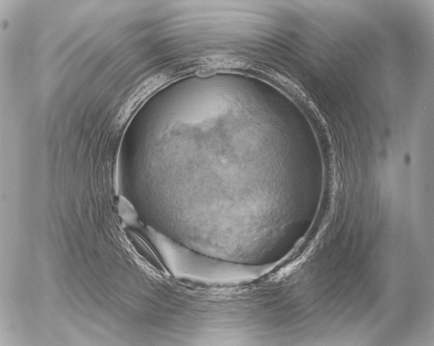 X0000052930889200507221119