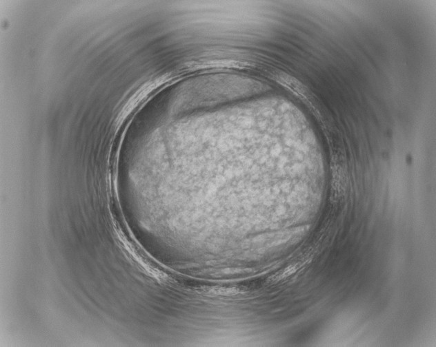 X0000052930890200507221119