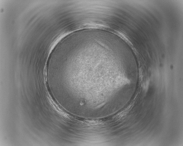 X0000052930891200507221119