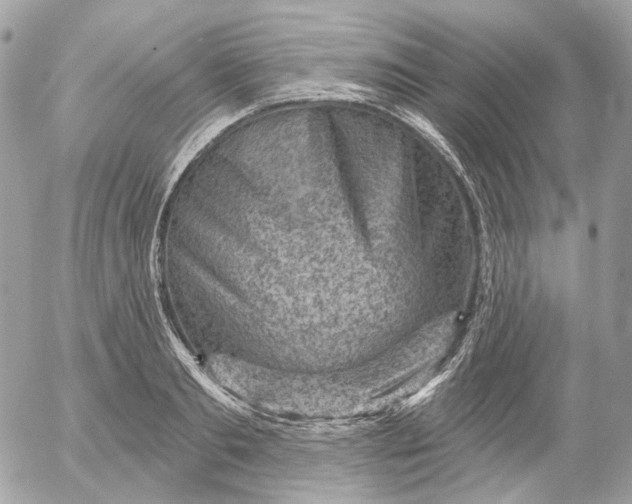 X0000052930893200507221118