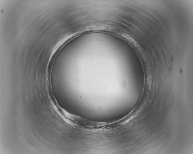 X0000052930894200507221118