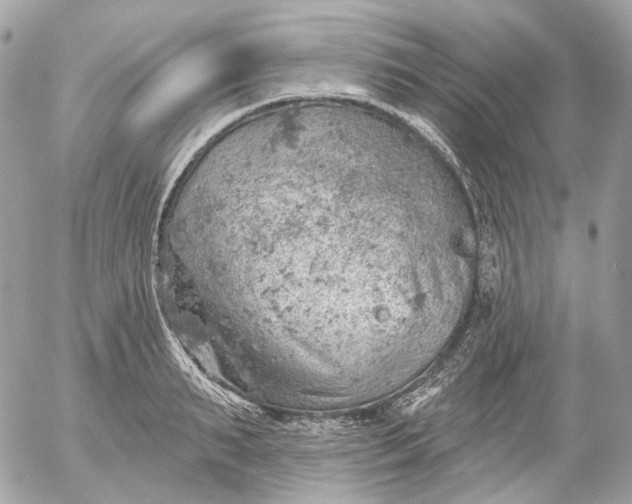 X0000052930895200507221118