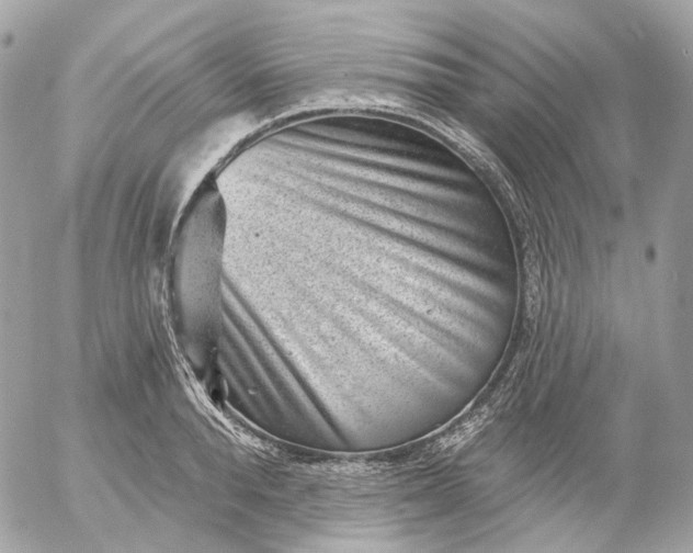 X0000052930896200507221118