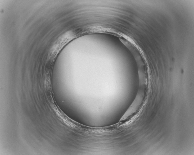 X0000052930897200507221118