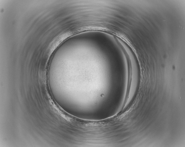 X0000052930898200507221118