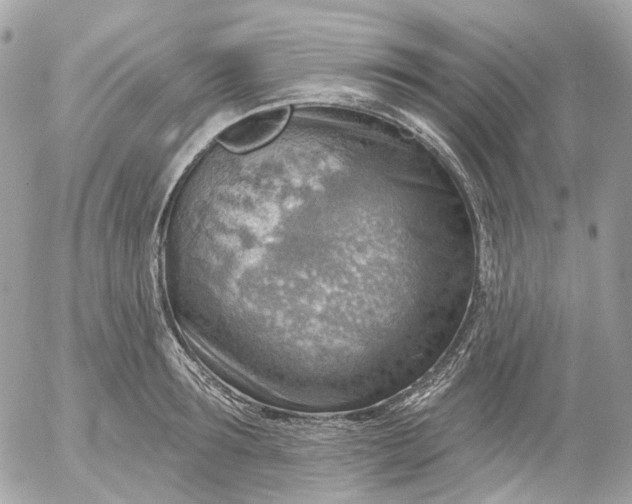 X0000052930899200507221118