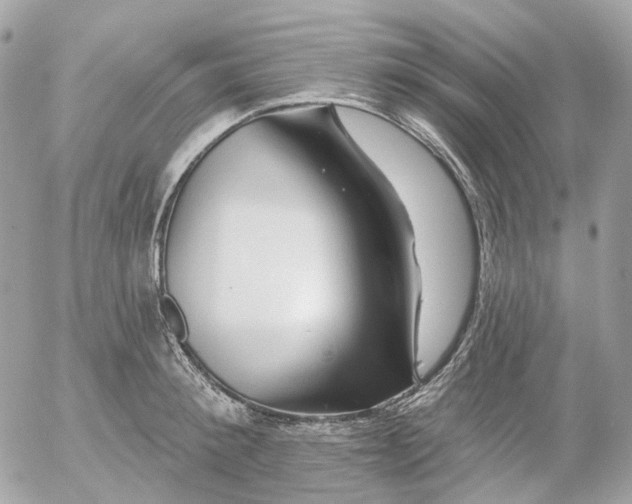 X0000052930900200507221118