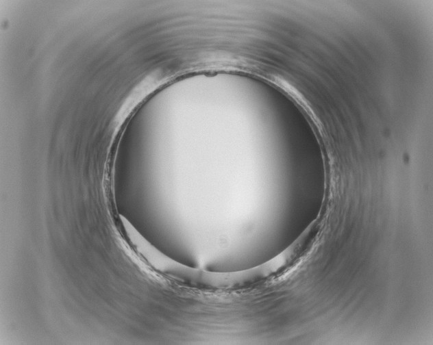 X0000052930901200507221118