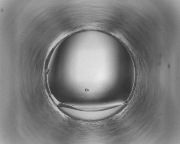 X0000052930902200507221118