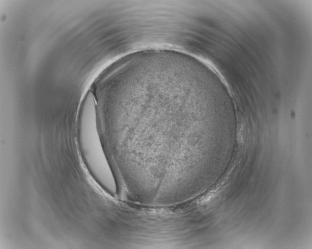 X0000052930903200507221118