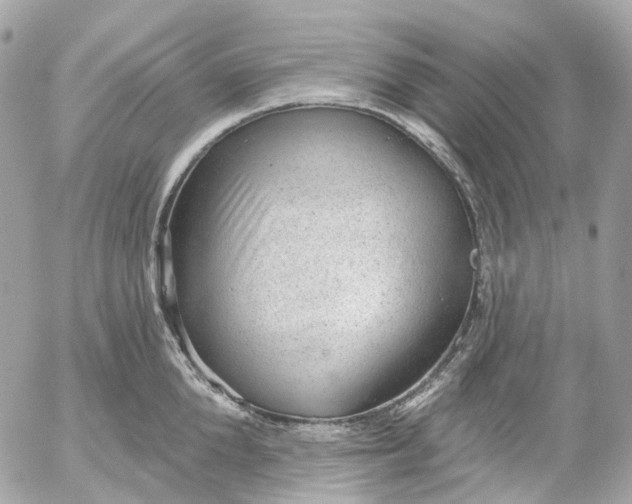 X0000052930904200507221118