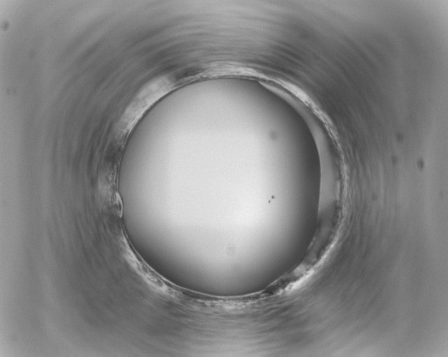 X0000052930905200507221118