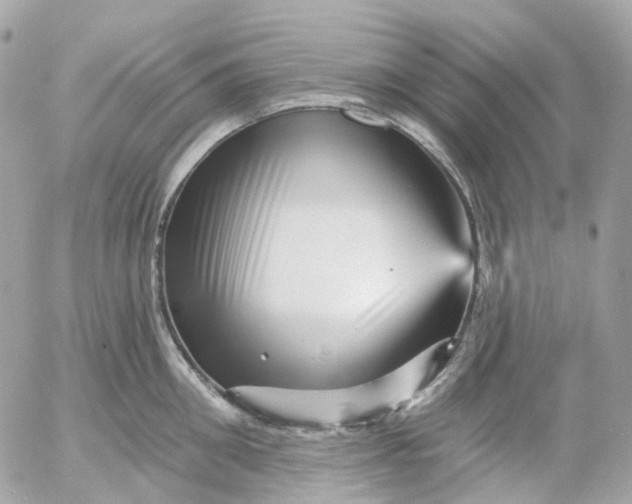 X0000052930906200507221118