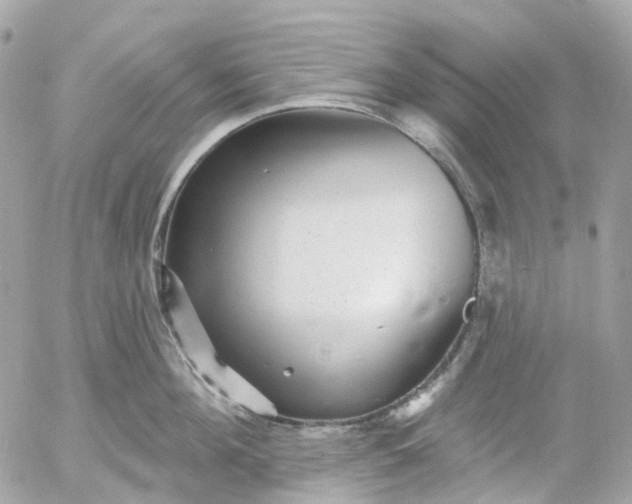 X0000052930908200507221118