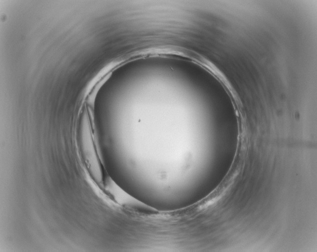 X0000052930909200507221118