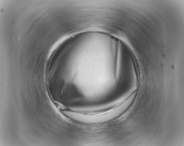 X0000052930910200507221118