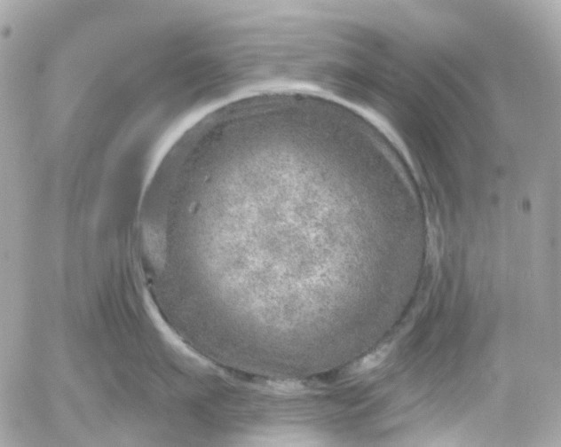 X0000052930911200507221118