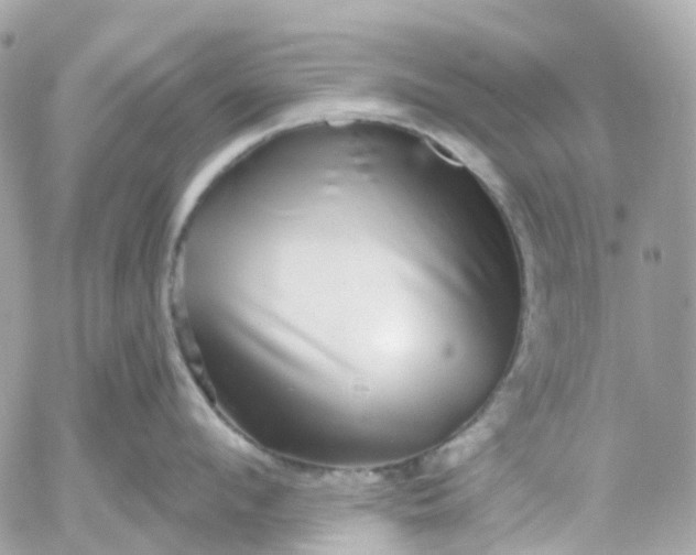 X0000052930912200507221118