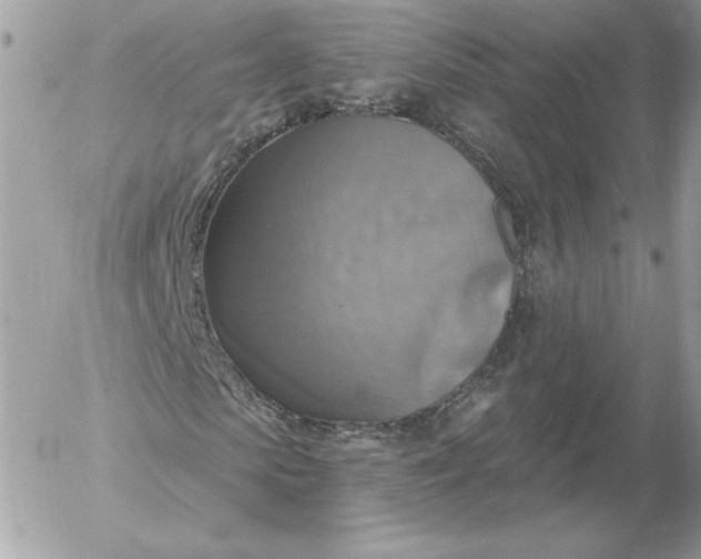 X0000052930913200507221117