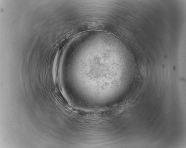 X0000052930914200507221117