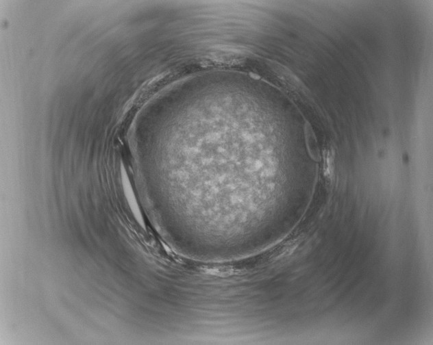 X0000052930915200507221117