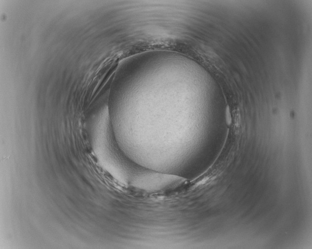 X0000052930916200507221117