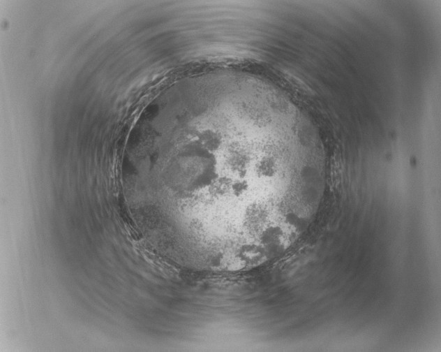 X0000052930917200507221117