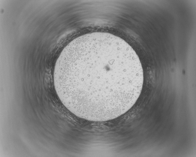 X0000052930918200507221117