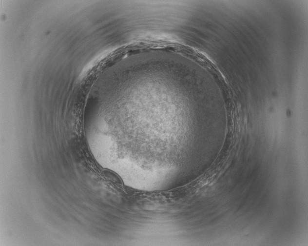 X0000052930919200507221118