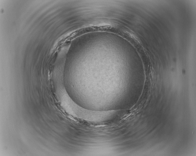 X0000052930920200507221118