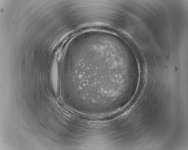 X0000052930921200507221118