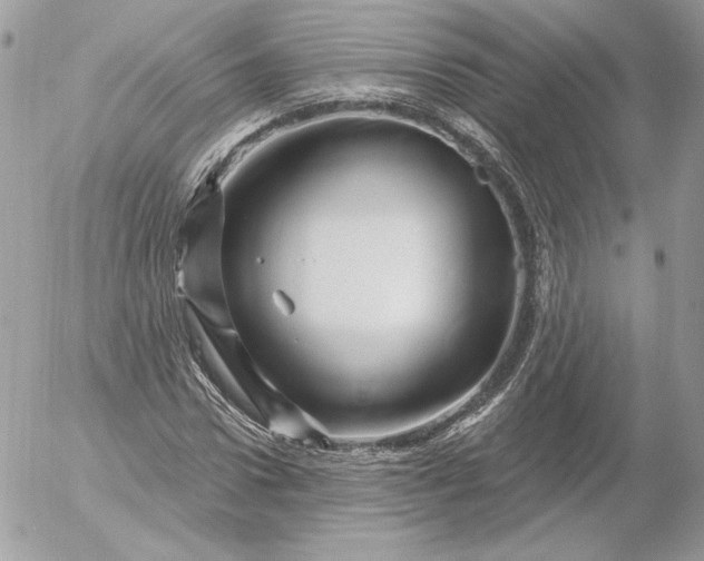 X0000052930922200507221118