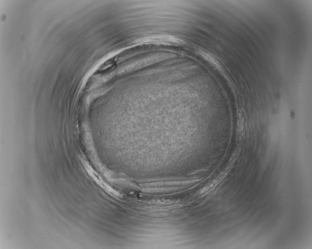 X0000052930923200507221118