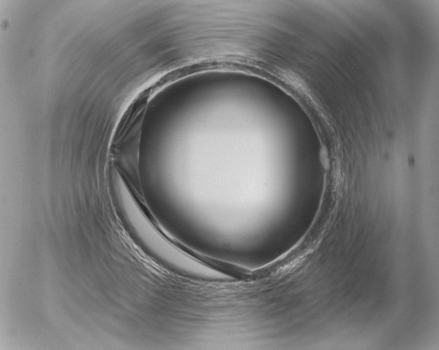 X0000052930924200507221118