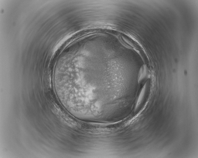 X0000052930925200507221118