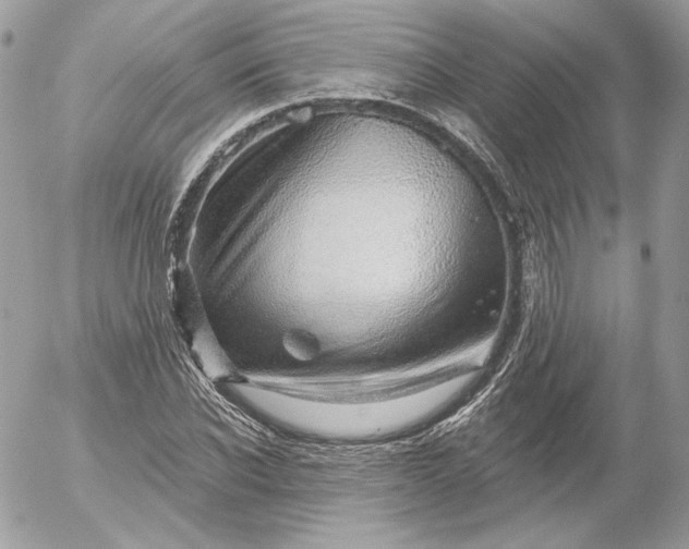 X0000052930926200507221118