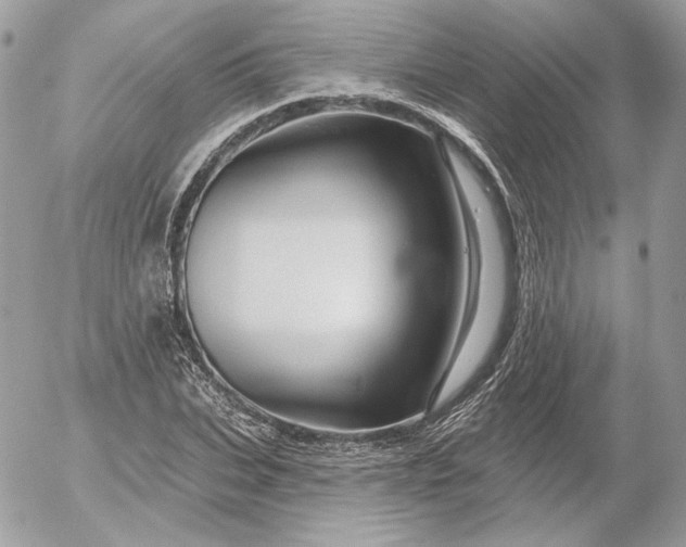 X0000052930927200507221118