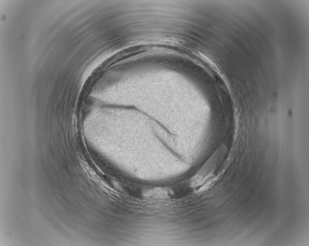 X0000052930928200507221118