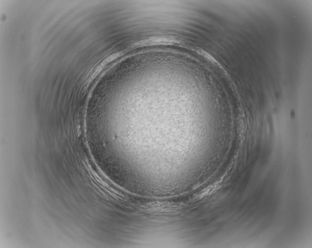 X0000052930929200507221118