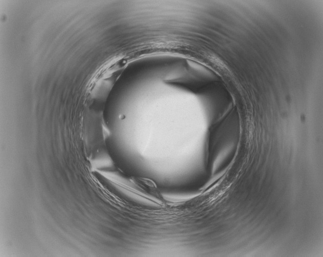 X0000052930930200507221118