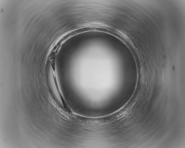 X0000052930931200507221118