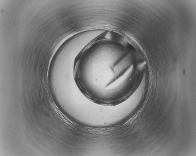 X0000052930932200507221118